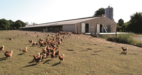 Construction de btiment avicole : poules bio avec appentis jardin d'hiver