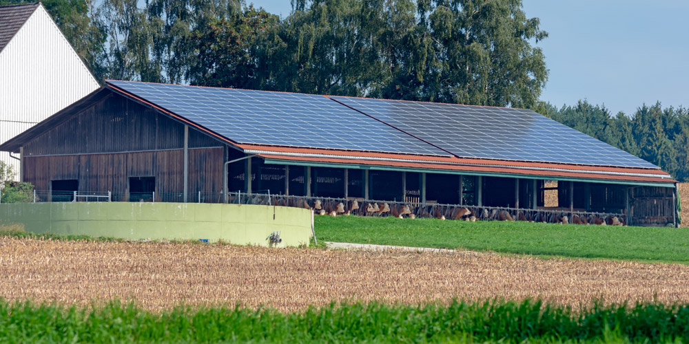 Construction d'un btiment agricole avec panneaux photovoltaques